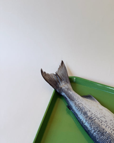 Wild Salmon Tails