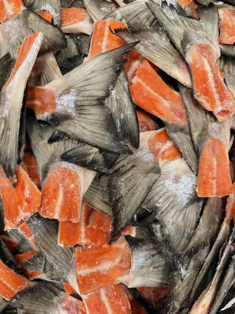 Wild Salmon Tails