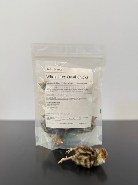 Whole Prey Quail Chicks