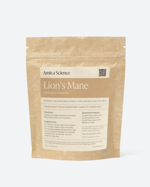 Lion's Mane