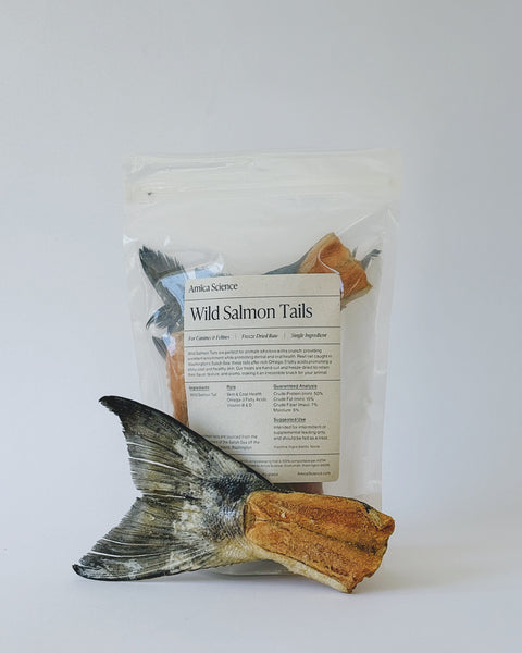 Wild Salmon Tails