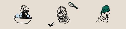 Amica Science Footer Illustration Find Us In Stores Lifestyle View for Dogs and Cats