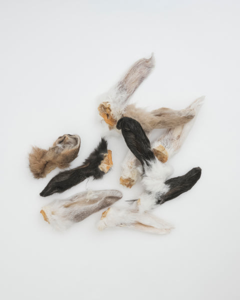 Amica Science Freeze-Dried Rabbit Ears dog treats Out of Bag Front View for Dogs and Cats