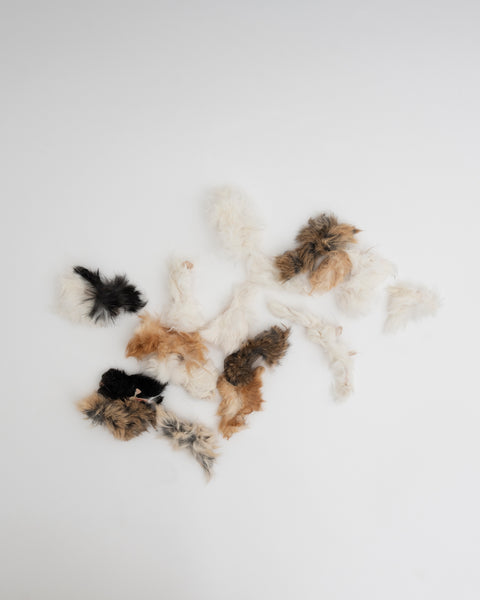 Amica Science Freeze-Dried Rabbit Hides dog treats Product View for Dogs and Cats