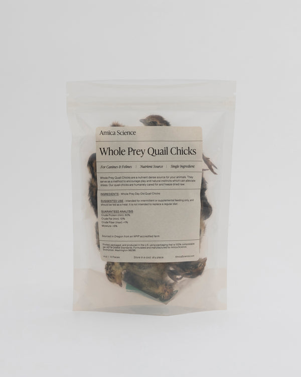 Whole Prey Quail Chicks