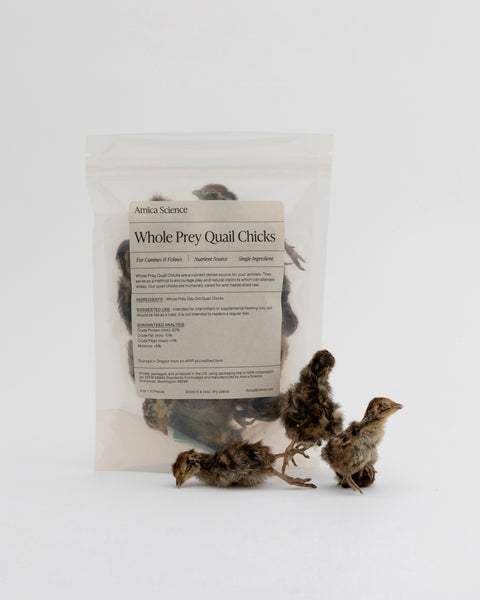 Amica Science Freeze-Dried Whole Prey Quail Chicks 4oz Out of Bag Front View for Dogs and Cats
