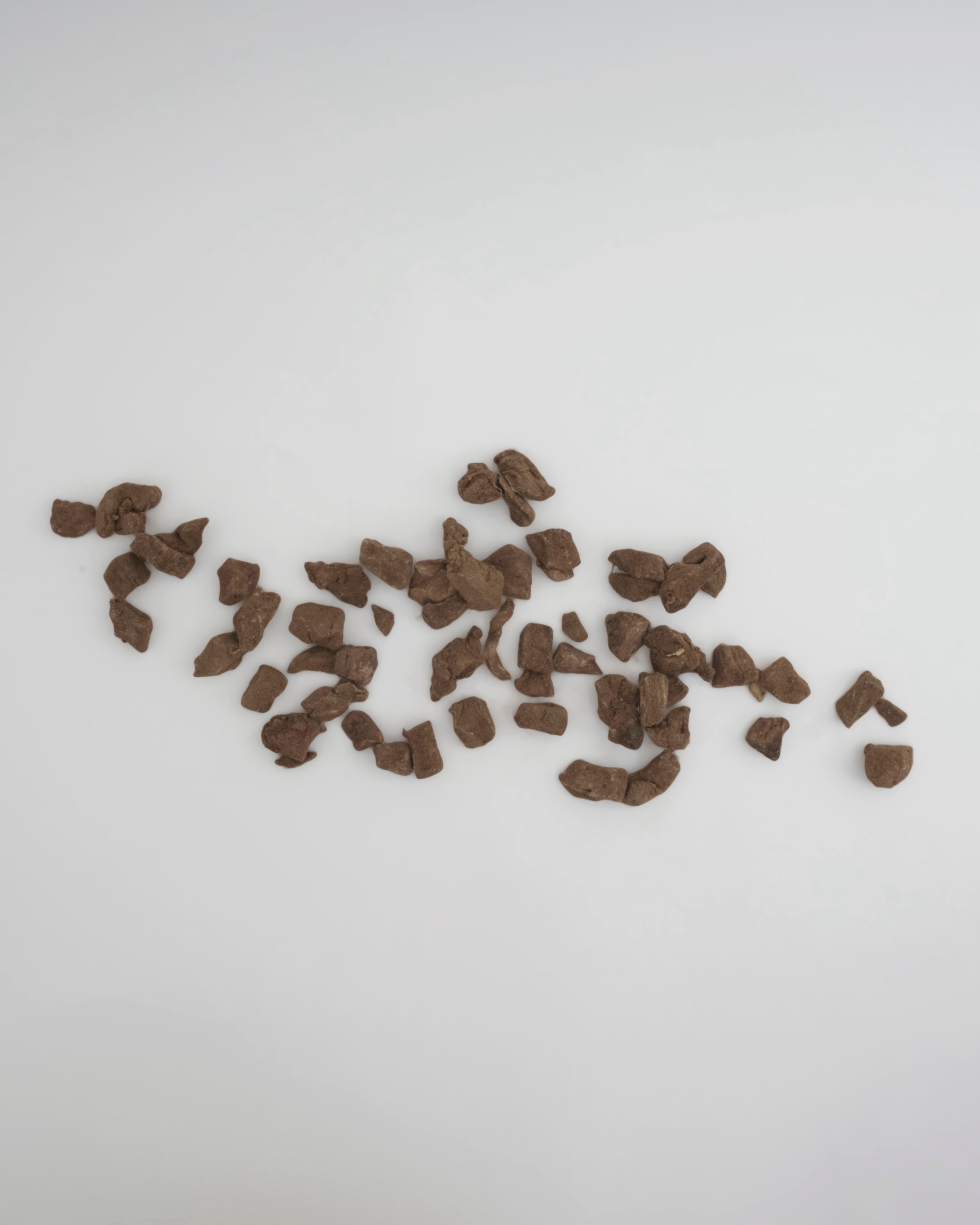 Amica Science | Freeze-Dried Raw Grass Fed Lamb Liver Shiitake Treats