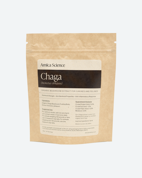 Amica Science Chaga for dogs organic mushroom extract fruiting body 90g Back View for Dogs and Cats