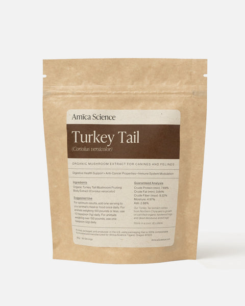 Amica Science Organic Turkey Tail mushroom extract 90g jar — Prebiotic Bundle