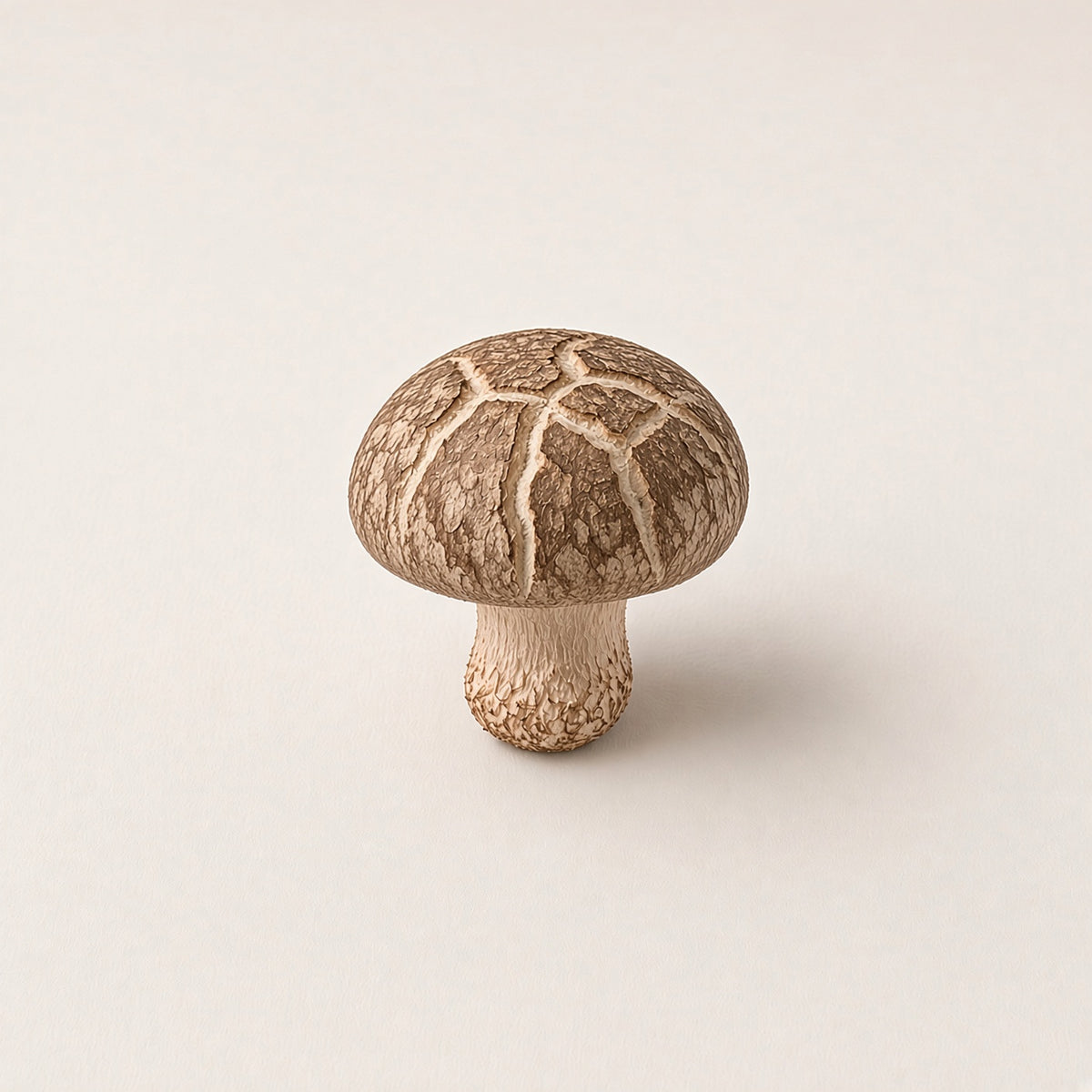 Amica Science Shiitake Mushroom Blend Builder Lifestyle View for Dogs and Cats