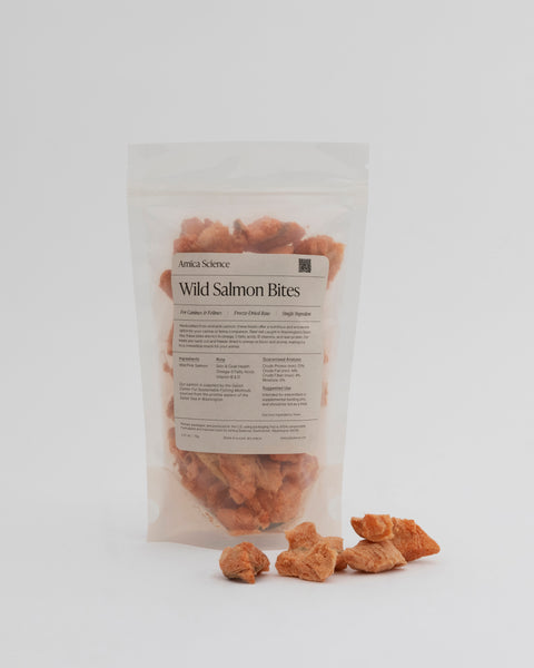Amica Science Wild Salmon Bites freeze-dried wild salmon treats 70g Out of Bag Front View for Dogs and Cats