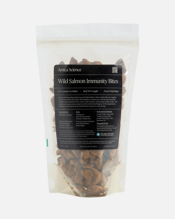 Wild Salmon Immunity Bites