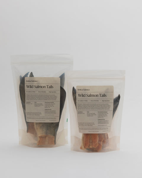 Amica Science Wild Salmon Tails freeze-dried wild salmon treats Lifestyle View for Dogs and Cats