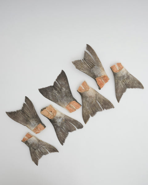 Amica Science Wild Salmon Tails freeze-dried wild salmon treats Out of Bag Front View for Dogs and Cats