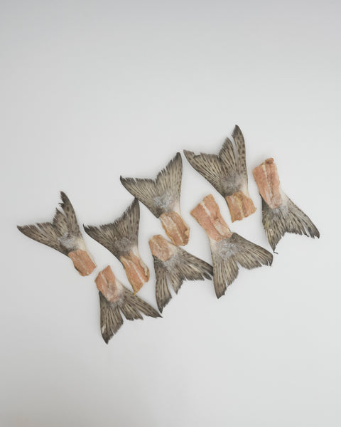 Amica Science Wild Salmon Tails freeze-dried wild salmon treats Product View for Dogs and Cats