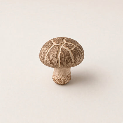 Organic Shiitake mushroom (Lentinula edodes), one of the mushrooms you can add to your blend