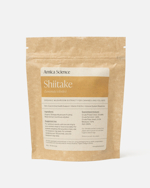 Shiitake